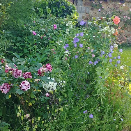 Charmante Maison De Ferme Avec Cour Fermee, Proche Loisirs Et Nature - Fr-1-582-191 Aurec-Sur-Loire